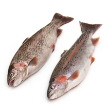 Форель н/р горная 0,3-0,5кг Остров короб. 6 кг