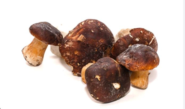 Гриб белый 2 сорт замороженный (6-10 см) целый 7кг/кор Болетус-ЛТ