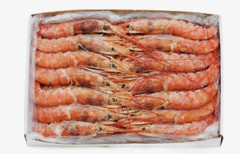 Креветка Лангустины с/г L1 (10/20) Аргентина (4280) короб. 2/12кг+