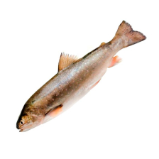 Голец н/р Зюйд монолит 11/22кг+