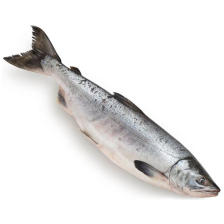 Горбуша н/р Приморец монолит 20кг