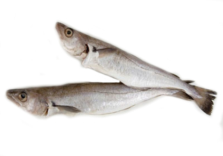 Путассу н/р Замоскворечье монолит 10/30 кг+