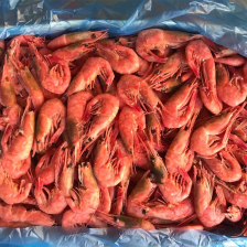 Креветка северная в/м с/г в панцире 90/120  Китай (2100/02B77) короб. 1/10 кг+