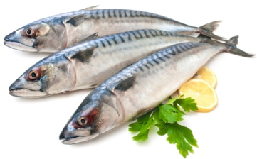 Скумбрия  н/р  400+ Кап Геращенко  ~22-23кг