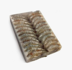 Креветка ваннамей б/г в панцире 26/30 Эквадор (79340) блок 1,8/10,8кг+